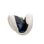 Big Ground Blue Tang