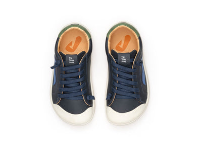 Big Ground Blue Tang