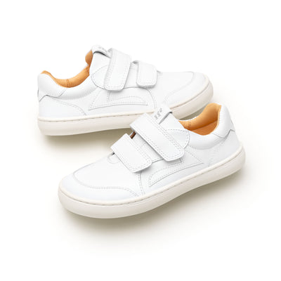 Big Landy White White