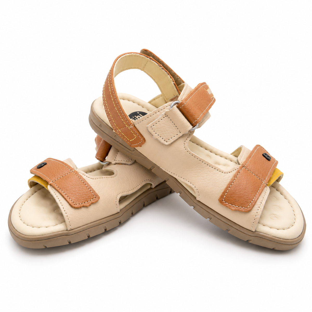 Chalita Bibi Camel